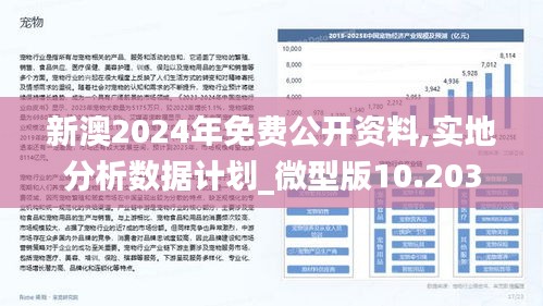 2025新澳正版今晚资料，全面释义、解释与落实,警惕虚假宣传,安全策略详解